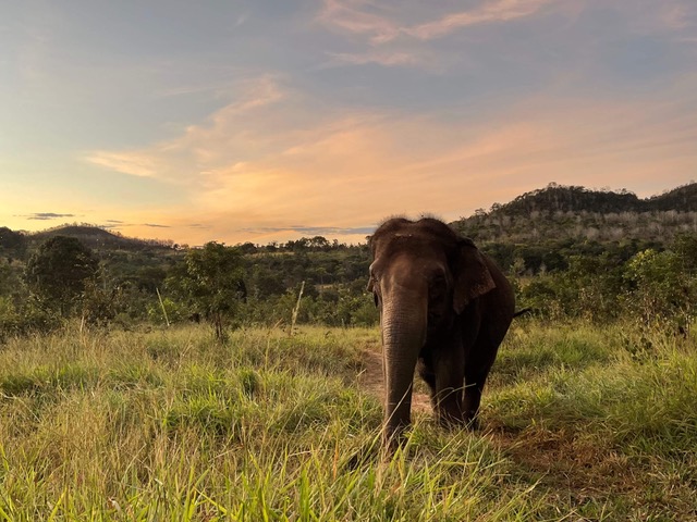 Building a Sanctuary: It Takes More Than Love