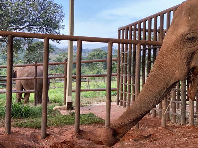 Rescue Report from GSE