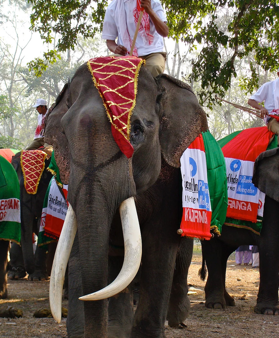 A Safer, More Compassionate Festival Season